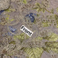 Olive Floral Chiffon - 3-Piece Unstitched Suit; original photograph 3, supplied unstitched.