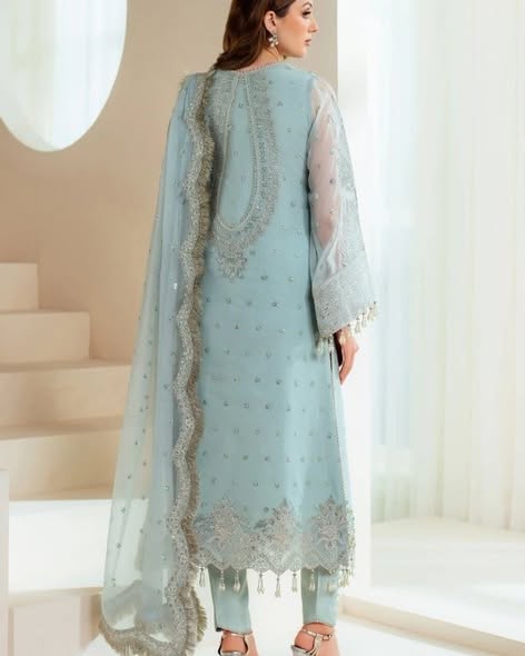 Powder Blue Alizeh chiffon suit: original back model photograph